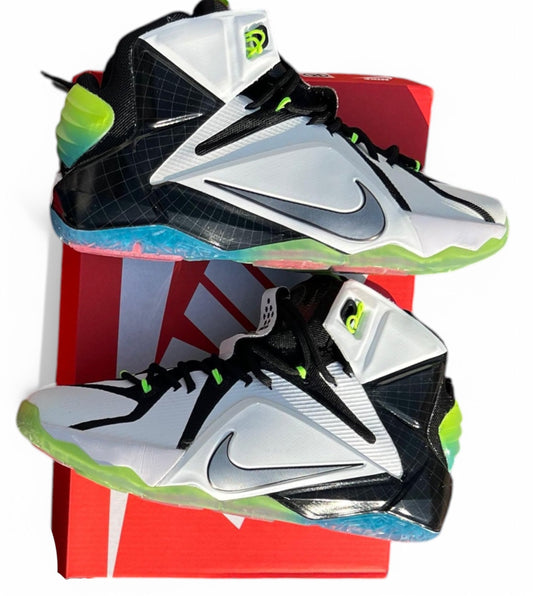 NIKE LEBRON.12